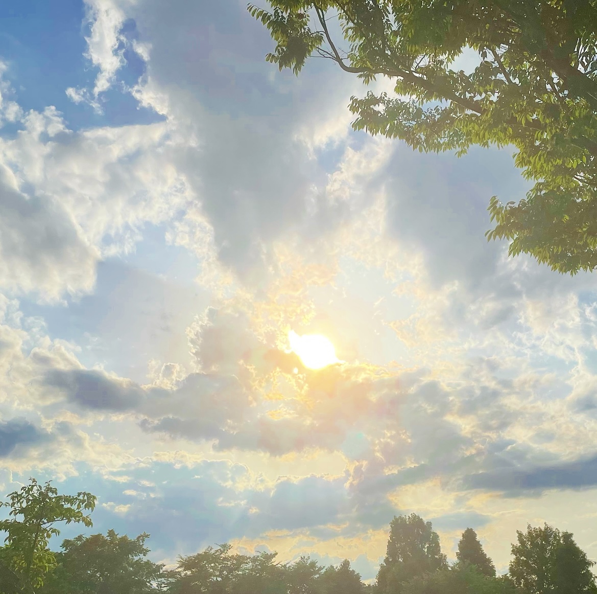 ライオンズゲートを経て